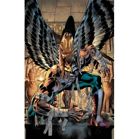 HAWKMAN 2