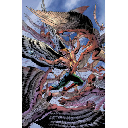 HAWKMAN 3