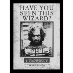 SIRIUS WANTED HARRY POTTER COLLECTOR FRAME 45 X 34 CM