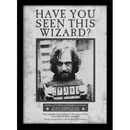 SIRIUS WANTED HARRY POTTER COLLECTOR FRAME 45 X 34 CM