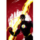 FLASH BY MARK WAID TP BOOK 5