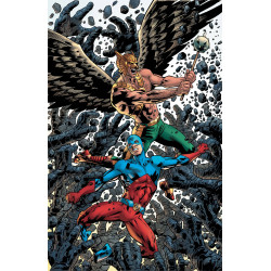 HAWKMAN 6