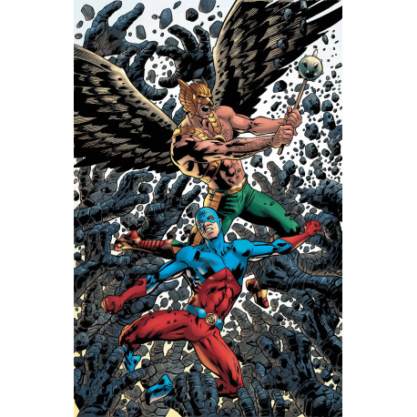 HAWKMAN 6