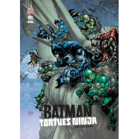 BATMAN & LES TORTUES NINJA TOME 2