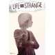 LIFE IS STRANGE 2 CVR C GAME ART