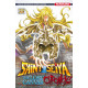 SAINT SEIYA - THE LOST CANVAS - CHRONICLES - TOME 14