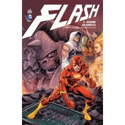 FLASH T03