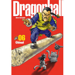 DRAGON BALL PERFECT EDITION - TOME 06