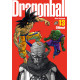 DRAGON BALL PERFECT EDITION - TOME 13