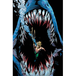 AQUAMAN 48