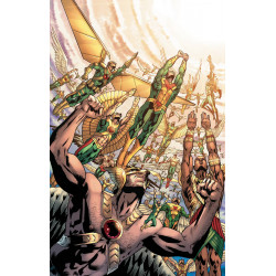 HAWKMAN 12