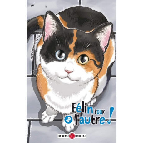 FELIN POUR L'AUTRE - VOLUME 02 - T2