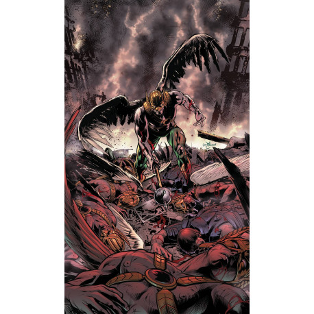 HAWKMAN 13