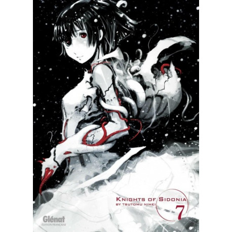 KNIGHTS OF SIDONIA - TOME 07