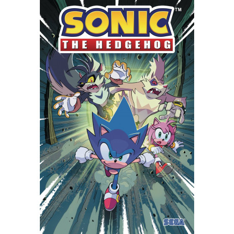SONIC THE HEDGEHOG TP VOL 4 INFECTION