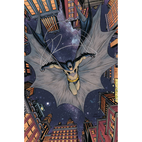 BATMAN UNIVERSE 1
