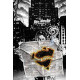 DF LOIS LANE 1 SGN PERKINS 