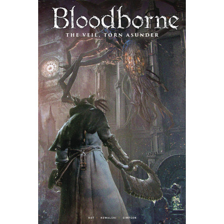 BLOODBORNE 13 CVR C GAME ART