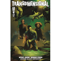 TRANSDIMENSIONAL 3