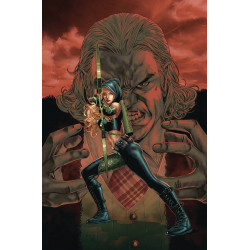 ROBYN HOOD OUTLAW 6 CVR A SANTAMARIE